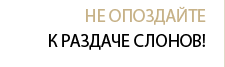 Не опоздайте к раздаче слонов
